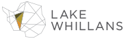 Lake Whillans Litigation Finance